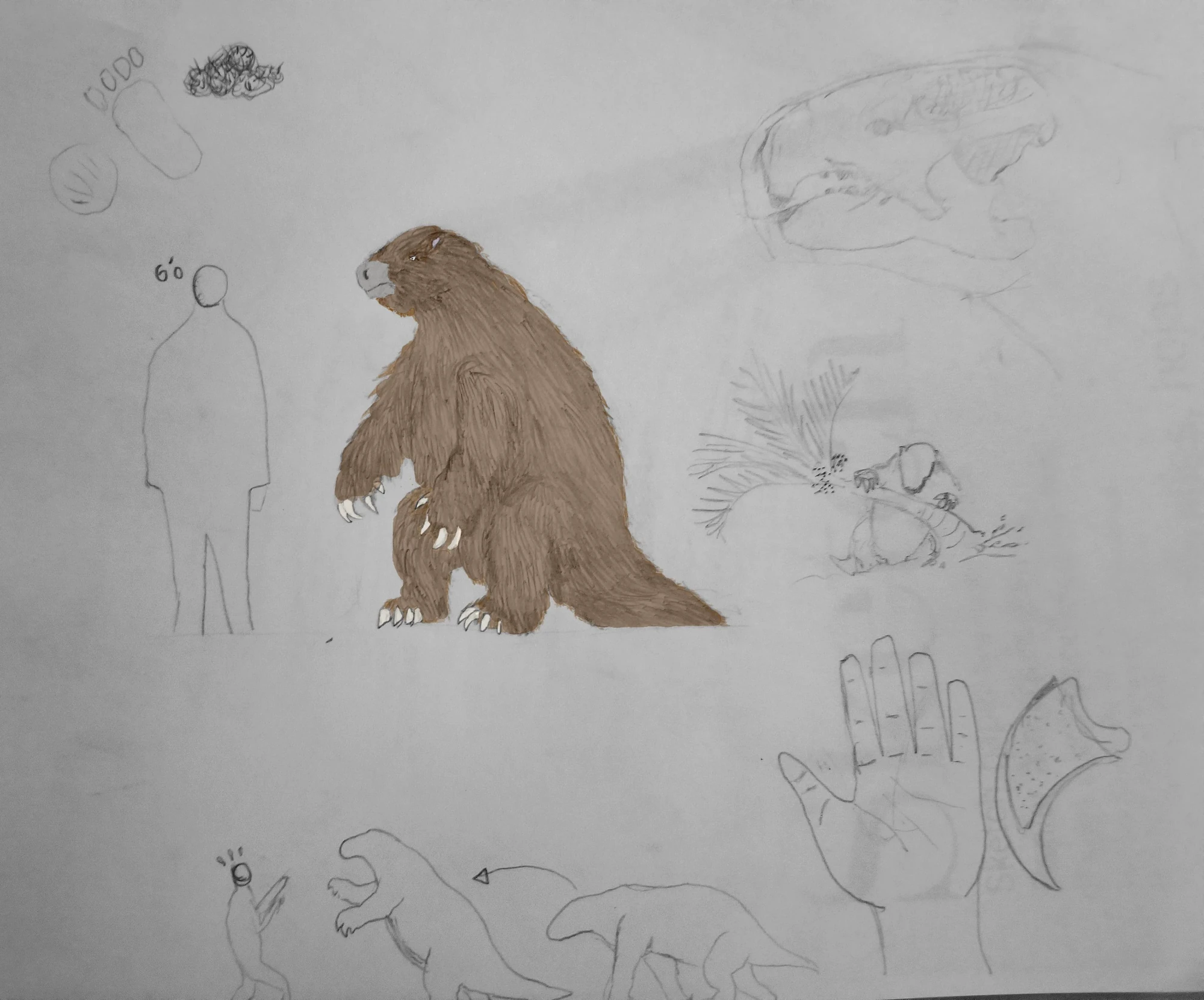 Category:Cryptids | Cryptids and Myths Wiki | Fandom