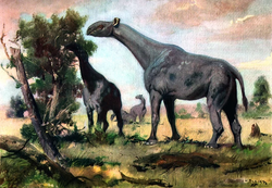 Indricotherium by Zdenek Burian