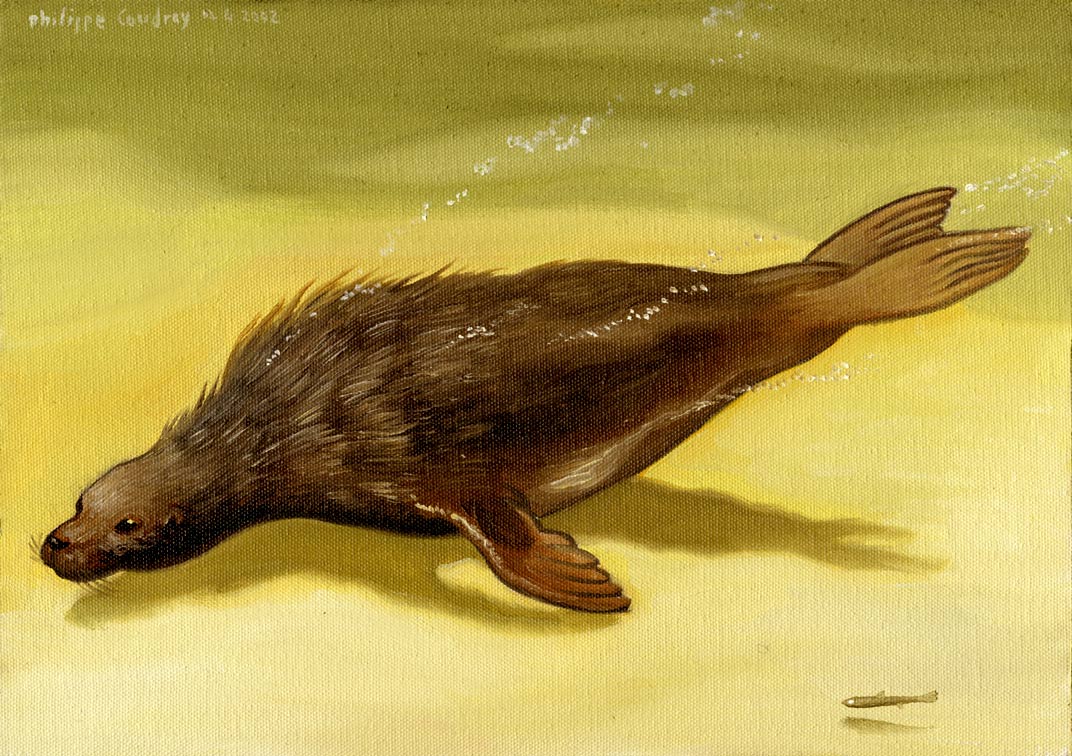 Dogfaced bunyip Encyclopaedia of Cryptozoology Fandom