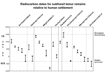 Subfossil lemur graph