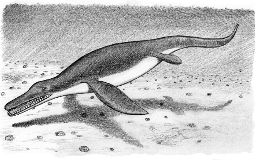 Marine saurian Cryptids and Myths Wiki Fandom