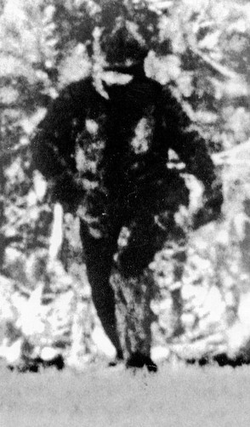 Bigfoot walking