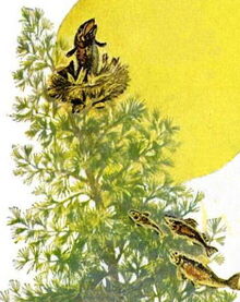 Upland trout