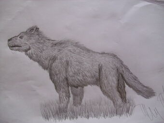 The Turner Beast Mutant Canine Cryptid Wiki Fandom