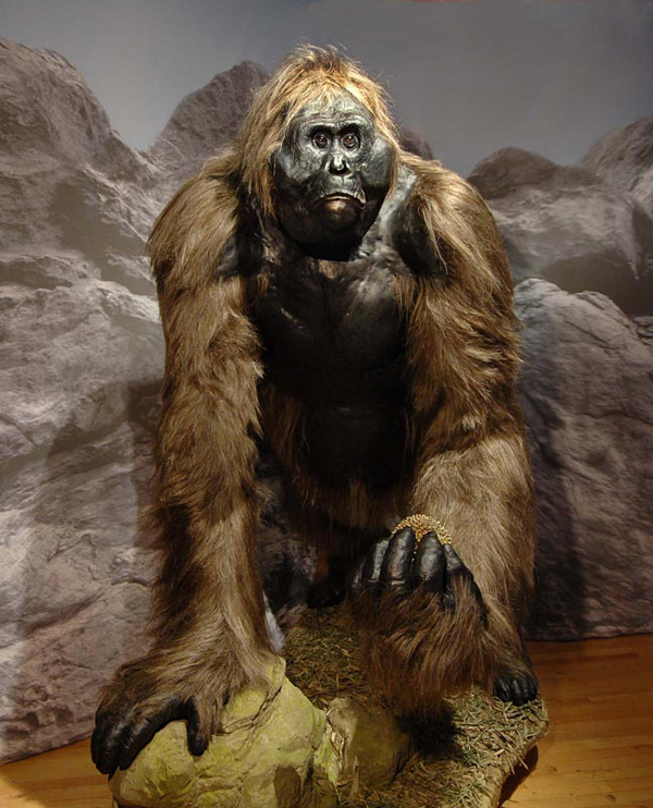 Yeren Cryptid Wiki Fandom Yeren Cryptid Wiki Fandom