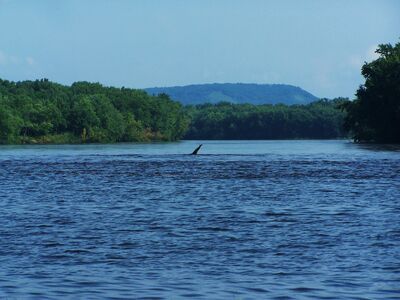 Pepie-lake-monster