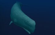 Leviathan