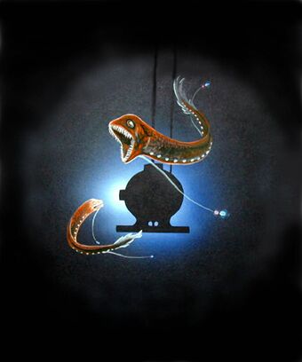 dragon fish