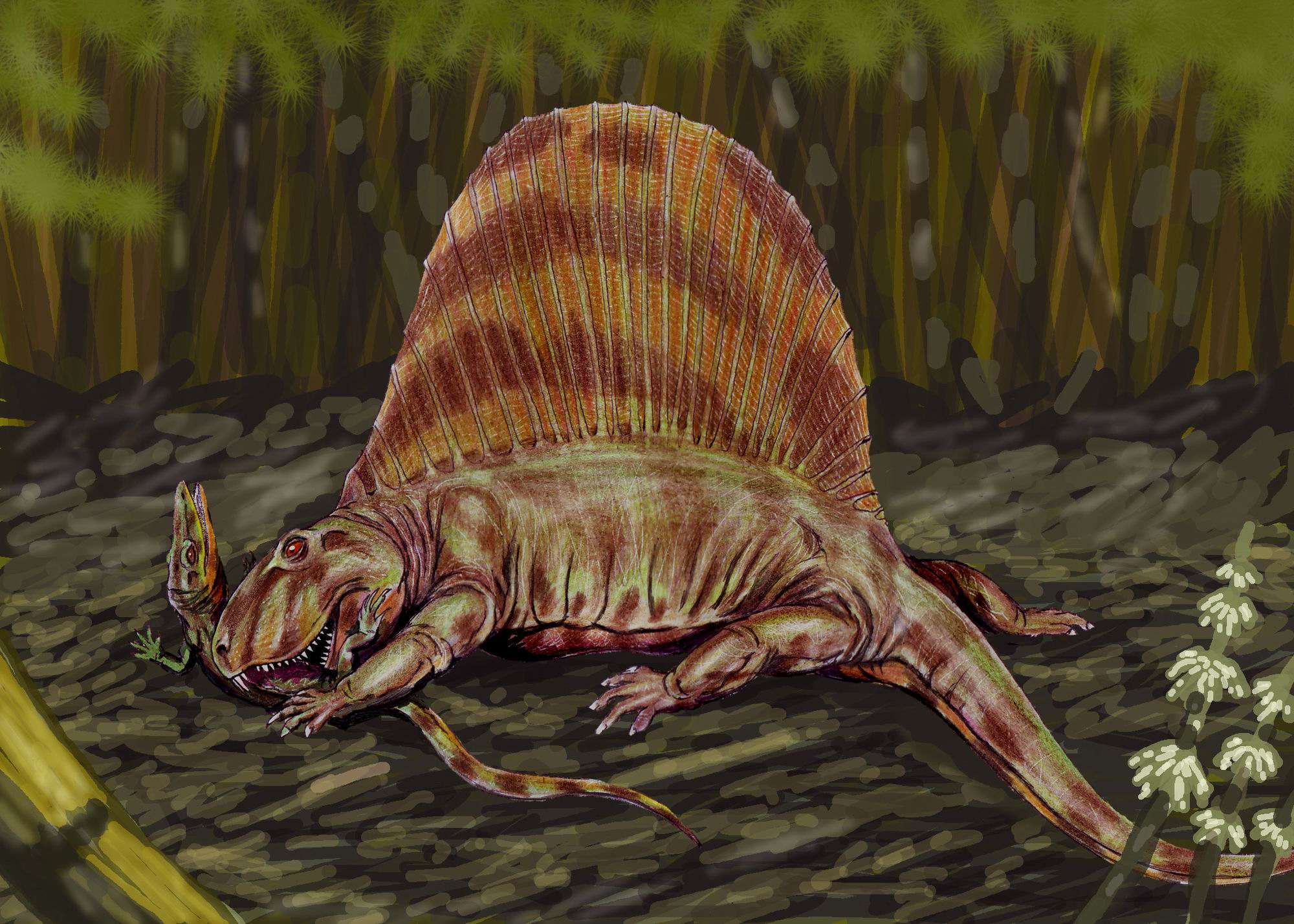 Nguma-monene | Cryptid Wiki | FANDOM powered by Wikia