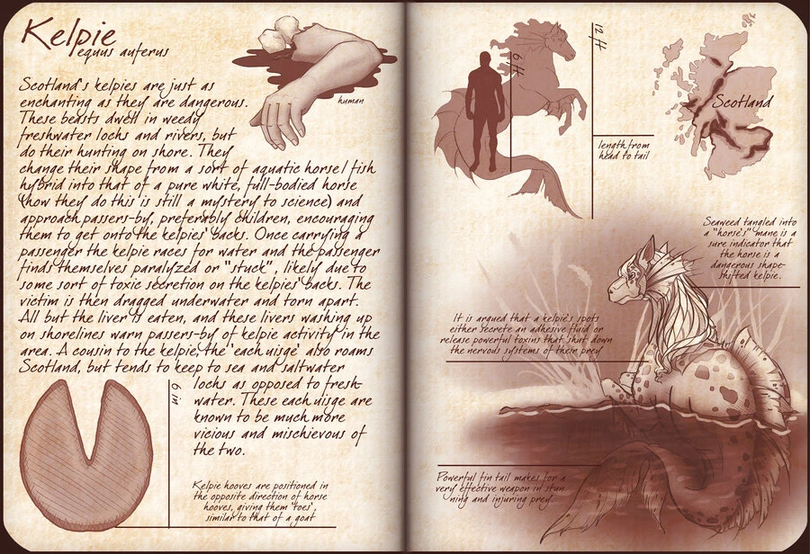 Kelpie Cryptid Wiki Fandom