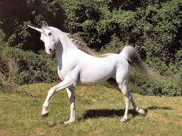 Unicor