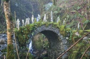 Bridge