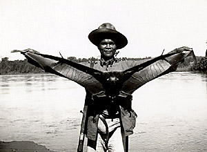 GiantBat