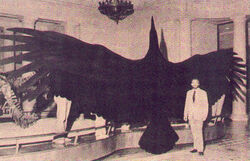 Thunderbird