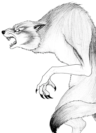 Anjing Ajak Cryptid Wiki Fandom