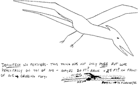 Pterosaur-sc2