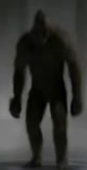 Darkwood