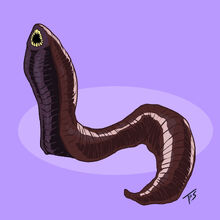Tlanusi