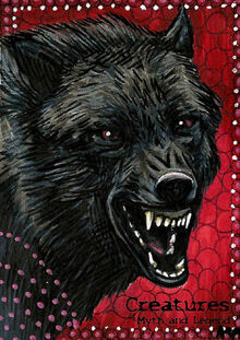 Black Dog