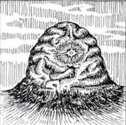 Brainblob