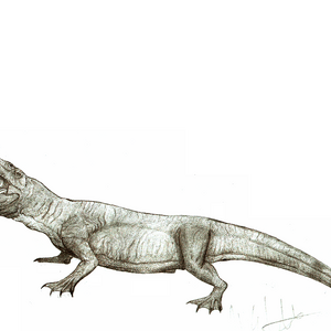 Bear Lake Monster Cryptid Wiki Fandom