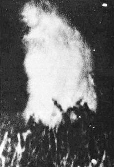 Allen Plaster Photograph