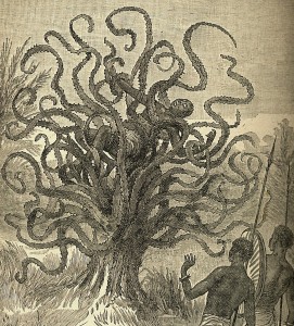 The ya-te-veo tree