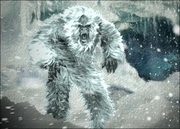 Image result for yeti