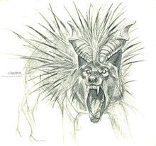 Calopus