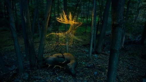 Image result for ghost deer cryptid