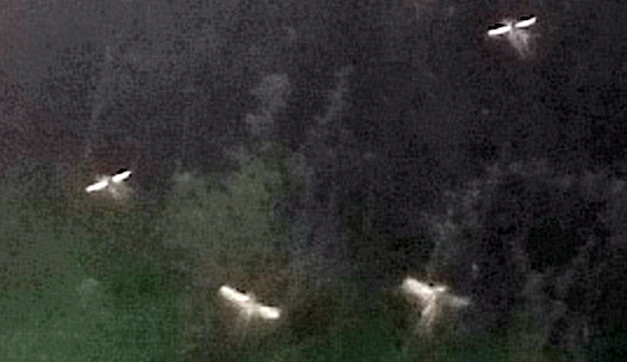 Dark Faerie | Cryptid Wiki | FANDOM powered by Wikia