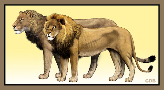 American Lions | Cryptid Wiki | FANDOM powered by Wikia