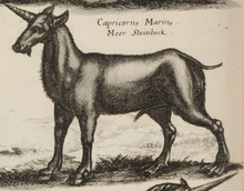 Camphruch 4