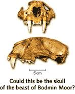 Moorskull