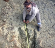Dino Footprint