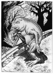 For cryptid wiki 4
