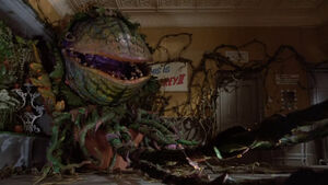 Audrey II 3