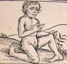 Abarimon