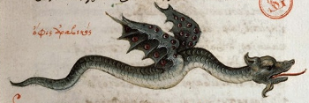 Arabian flying snakes