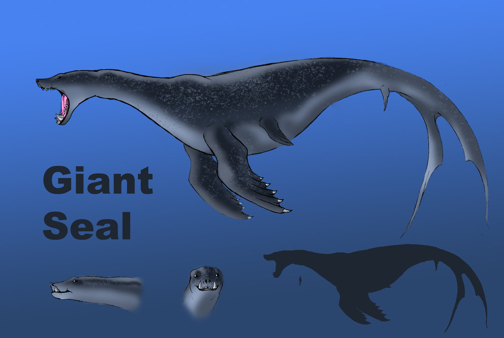 image giant seal size comparison by spearhafoc d6cqm1l jpg seal size