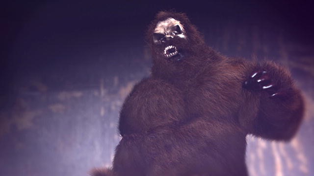 grassman cryptid wiki fandom powered by wikia
