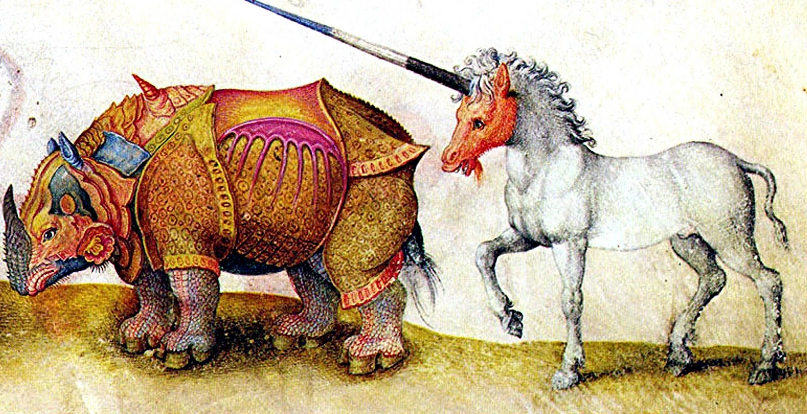 Image Rhino and unicorn.jpg Cryptid Wiki FANDOM powered by Wikia