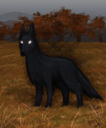 Black Shuck