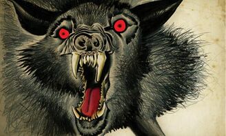 The wolf