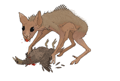 Image result for chupacabra