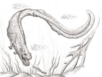 Giant Salamanderr