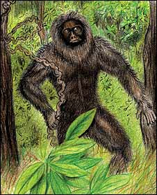 grassman cryptid wiki fandom powered by wikia