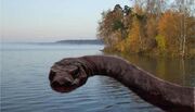 Komodo plus snake