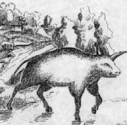 Camahuet