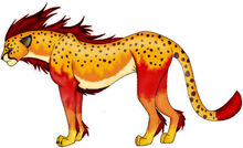 ForAdoptionFireCheetah-1-1-1